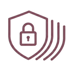 Multi-tier security